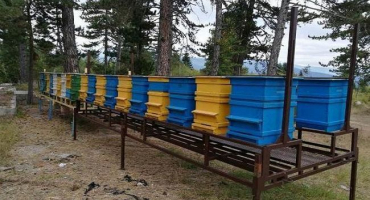 Výroba úlu čmeláků vlastníma rukama, chov a vytvoření včelína